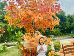 -HERRE·FARM 赫尔露营农场·团建聚会包场