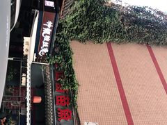 -三道苗苗鱼·美蛙黄辣丁(八里店)