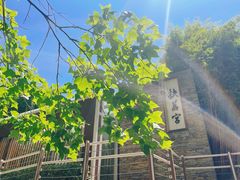 -昆明植物园