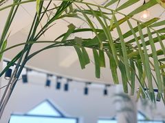 -ChanDu躔度咖啡(灯塔店)