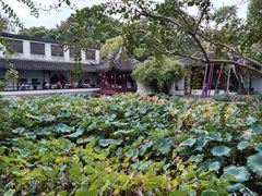 -上海醉白池公园