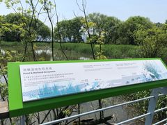 -西湖风景区-江洋畈生态公园