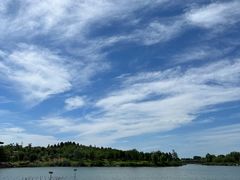 -马家湾湿地公园