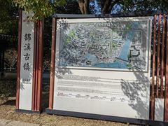 -同里国家湿地公园