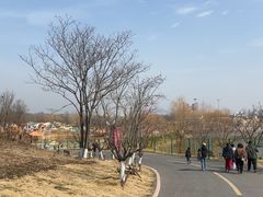 -红山体育度假乐园