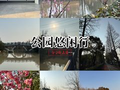 -上海长兴岛郊野公园