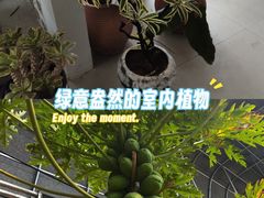 -呀路古热带植物园