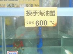 -三辣馆