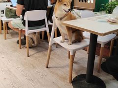-小时光咖啡馆(北锣鼓巷店)