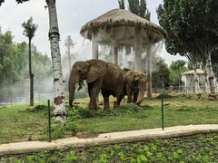 -石家庄市动物园