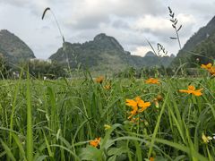 -靖西鹅泉风景区