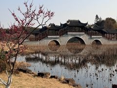 -上海海湾国家森林公园