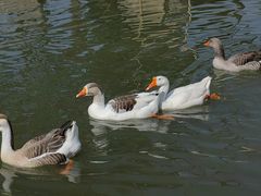 -武汉园博园(武汉自然博物馆)