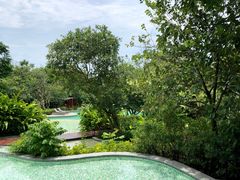 -瑰丽酒店·海吧·天际下午茶·现场DJ·天台酒吧