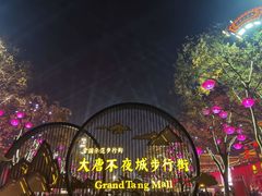 -大唐不夜城