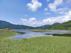 -腾冲北海湿地