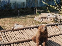 -济南野生动物世界