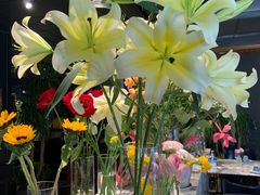 -懒人盐府人家(航天桥店)