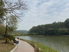 -枫盈轩中餐厅(枫丹白鹭酒店)