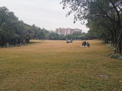 -广州雕塑公园