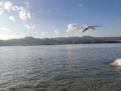 -昆明洲际酒店