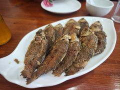-独流饭店(静海区国土资源分局西)
