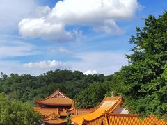 -深圳仙湖植物园