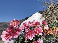 -叠溪松坪沟景区