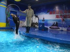 -重庆欢乐海底世界