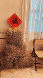 -三菩提科技美肤SPA