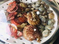 -港畔赶海蒸汽海鲜烧烤自助(仙螺岛店)