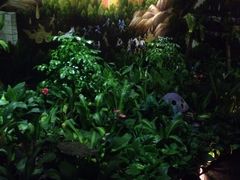-素可汤泉(天宝大厦店)