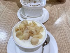-小糖朝(恒信店)