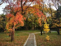 -国家植物园南园