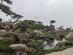 -罗红摄影艺术馆