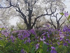 -江苏三台山国家森林公园