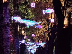 -三里屯太古里
