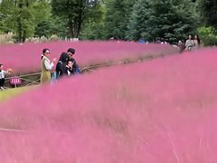 -嘉北郊野公园