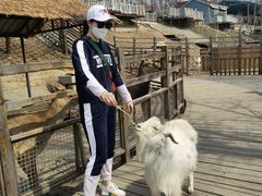 -北京鹿世界主题园