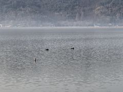 -东钱湖旅游度假区