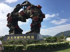 -亚龙湾国际玫瑰谷
