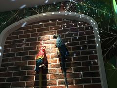-米乐星世界KTV(汇智国际商业中心店)