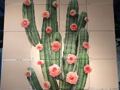 -创典居(槐安店)