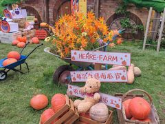 -HERRE·FARM 赫尔露营农场·团建聚会包场