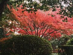 -浙江大学(玉泉校区)