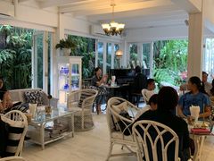-Fern Forest Cafe