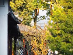 -南园(太仓市)