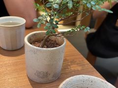 -CURRY YA 熟成咖哩專門店(深圳湾万象城店)