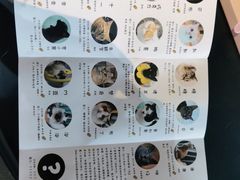 -喵屿·大理花园猫咖