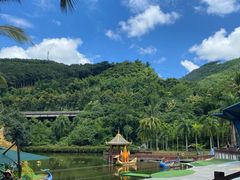 -西双版纳原始森林公园